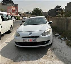 رينو فلوينس